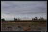 IMG_7861_copie.jpg