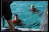 IMG_7888_copie.jpg