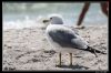 IMG_7891_copie.jpg