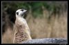 IMG_7935_copie.jpg
