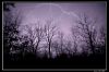 DSC_0163_copie.jpg
