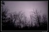 DSC_0168_copie.jpg