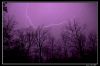 DSC_0173_copie.jpg