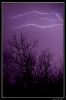 DSC_0181_copie.jpg