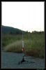DSC_0001_copie~0.jpg