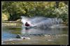 DSC_0004_copie.jpg