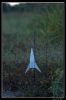 DSC_0005_copie.jpg