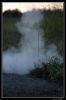 DSC_0006_copie.jpg