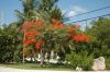 DSC_0023.JPG