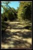 DSC_0029_copie.jpg