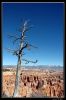 DSC_0060_copie~0.jpg
