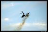 DSC_0060_copie.jpg