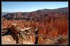 DSC_0064_copie~0.jpg