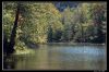 DSC_0065_copie.jpg