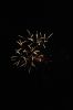 DSC_0076~0.JPG