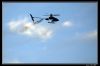 DSC_0080_copie~0.jpg
