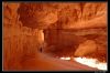 DSC_0084_copie~0.jpg