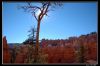 DSC_0140_copie.jpg