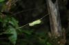 DSC_0181.JPG