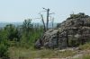 DSC_0250.JPG