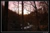 DSC_0255_copie.jpg