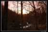 DSC_0256_copie.jpg