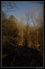 DSC_0264_copie.jpg