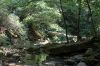 DSC_0283.JPG