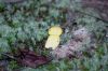 DSC_0288~0.JPG