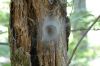 DSC_0289~0.JPG
