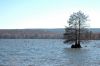 DSC_0367.JPG