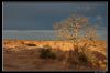 DSC_0423_copie.jpg